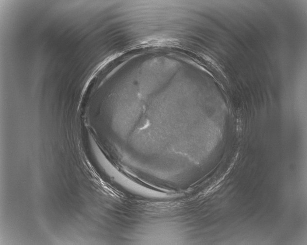 X0000053121117200508081244