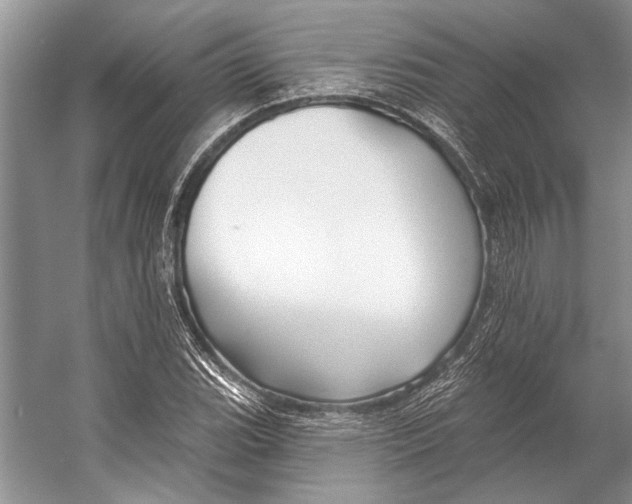 X0000053121119200508081244