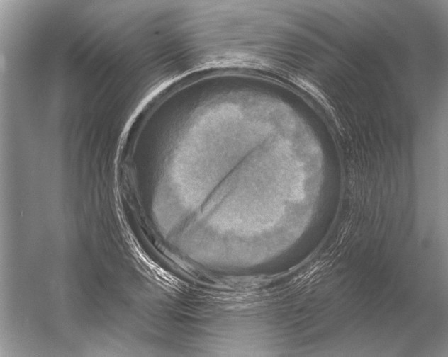 X0000053121120200508081244