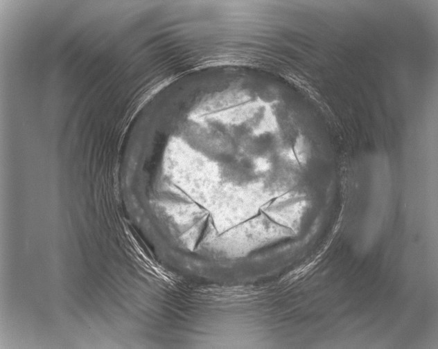 X0000053121121200508081244