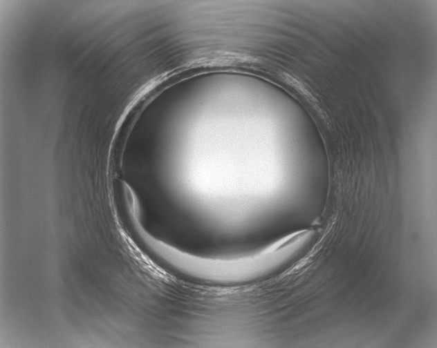 X0000053121122200508081244