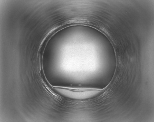 X0000053121123200508081244