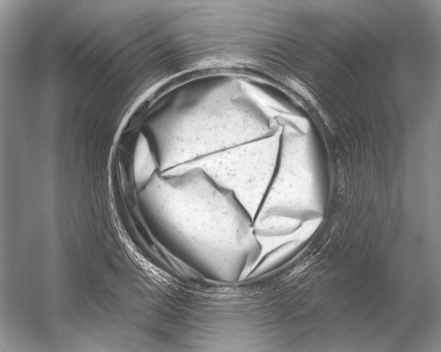 X0000053121124200508081244