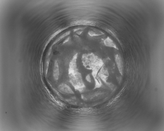 X0000053121125200508081244