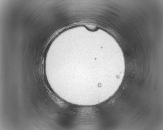 X0000053121126200508081244