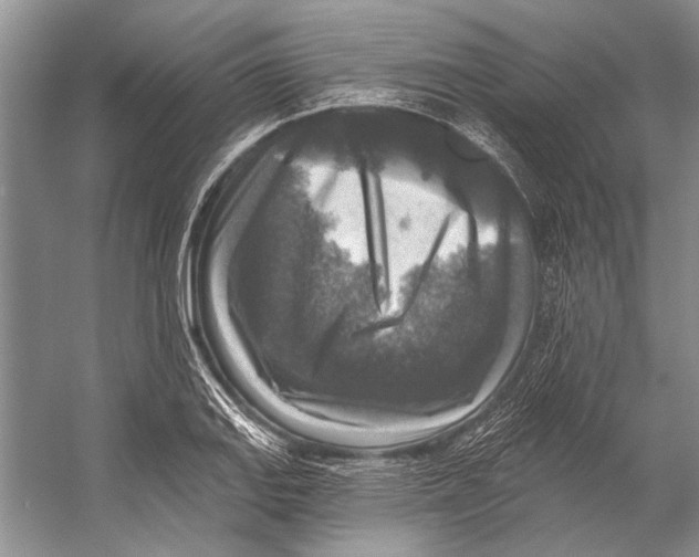 X0000053121127200508081244