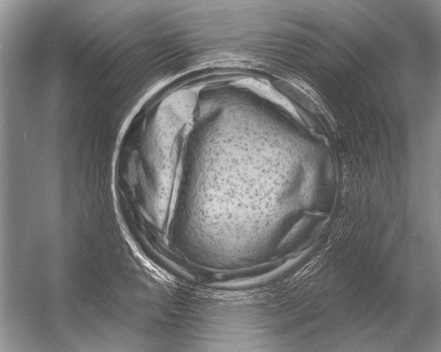 X0000053121128200508081244