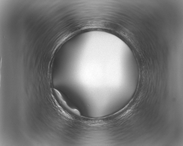 X0000053121129200508081245