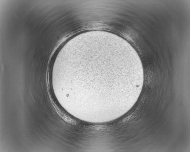 X0000053121130200508081245