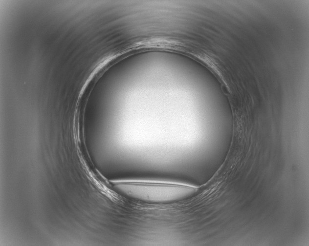 X0000053121131200508081245