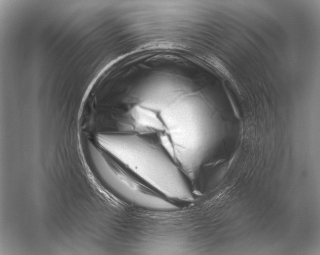 X0000053121132200508081245