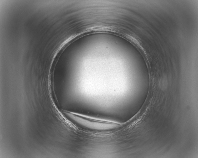 X0000053121133200508081245