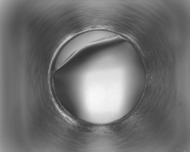 X0000053121135200508081245