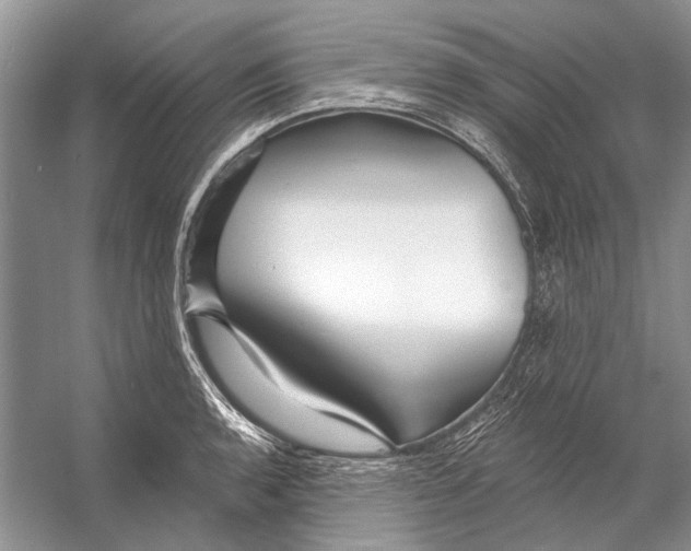 X0000053121136200508081245