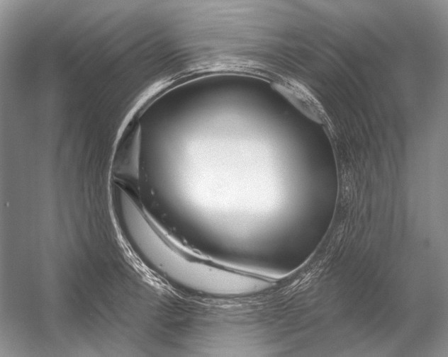 X0000053121138200508081245