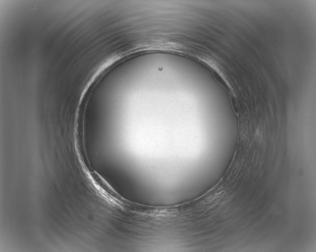 X0000053121139200508081245