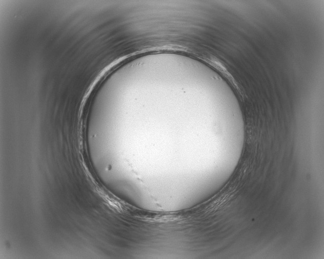 X0000053121140200508081245