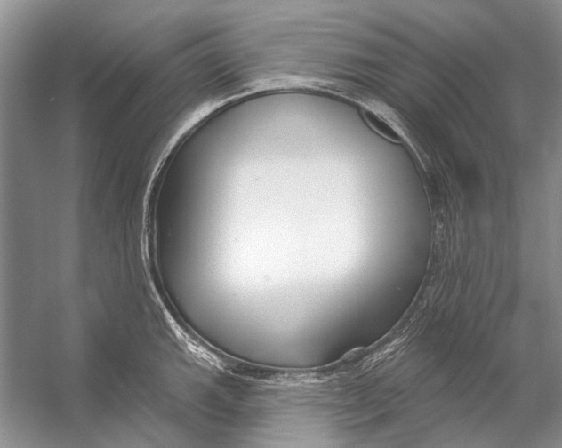 X0000053121143200508081245