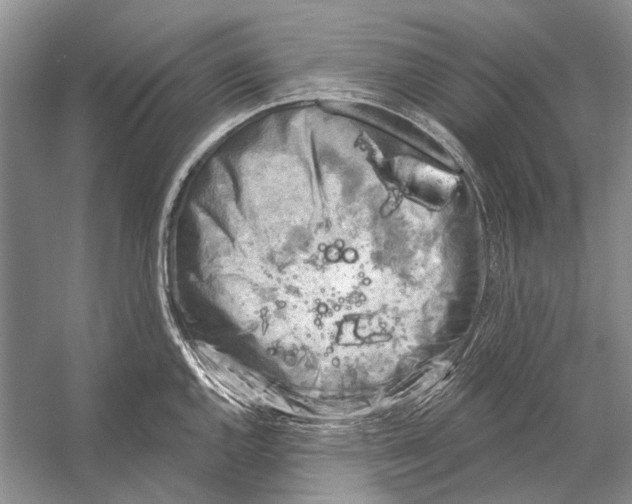 X0000053121144200508081245