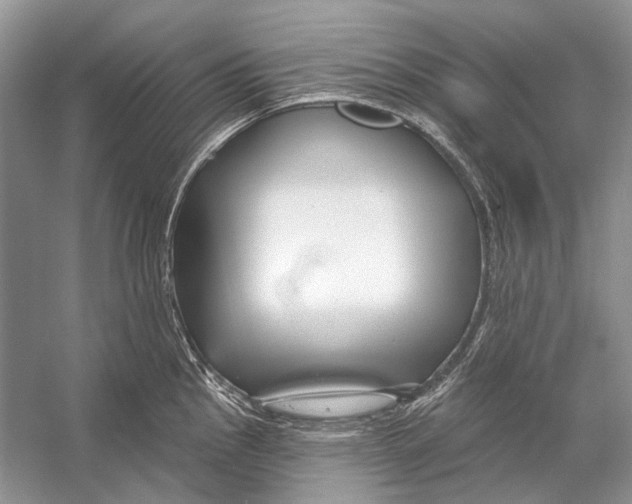 X0000053121145200508081245