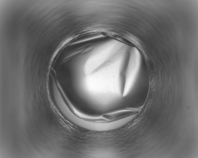 X0000053121146200508081245