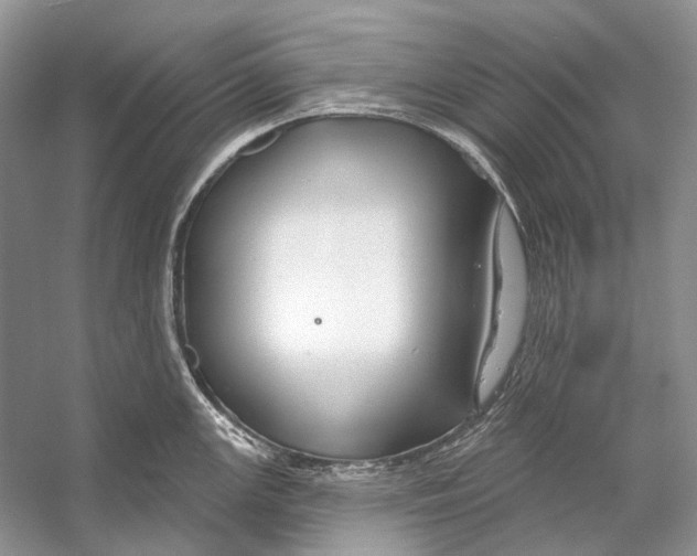 X0000053121147200508081245