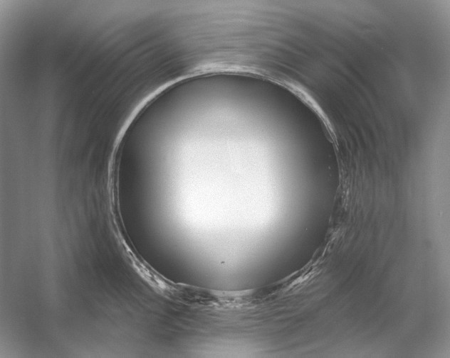 X0000053121148200508081245