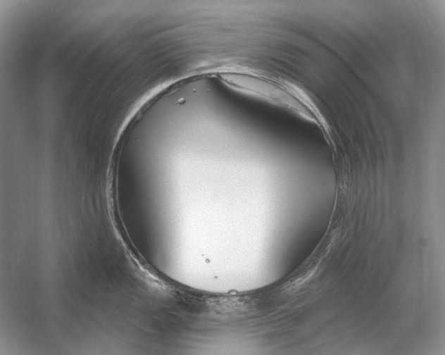 X0000053121149200508081245