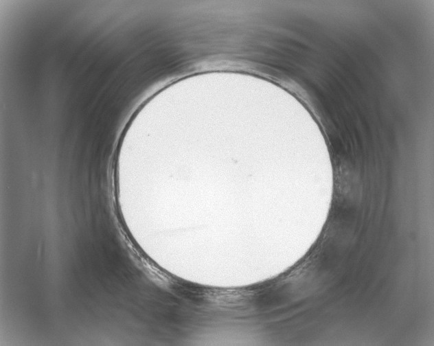 X0000053121150200508081245