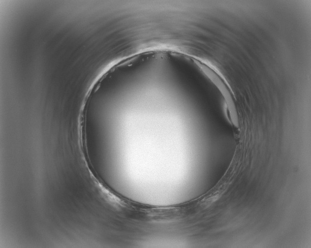 X0000053121151200508081245