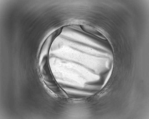 X0000053121152200508081245