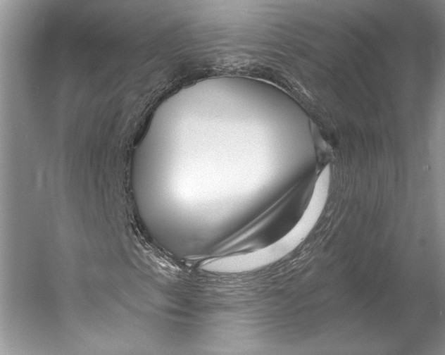 X0000053121153200508081244