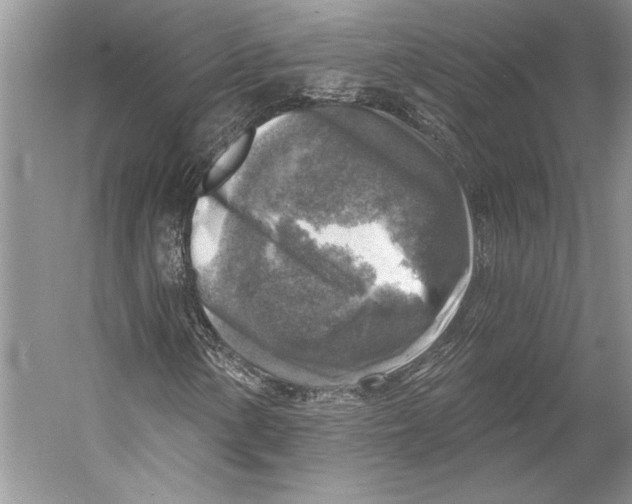 X0000053121154200508081244