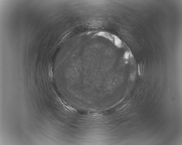 X0000053121155200508081244