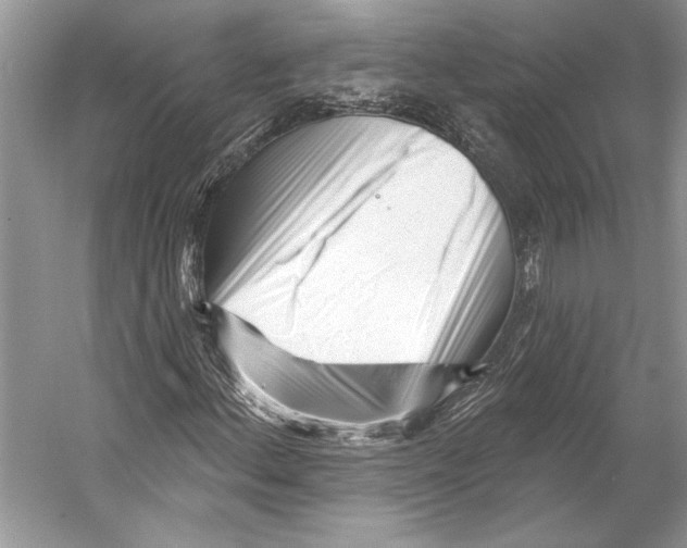 X0000053121156200508081244