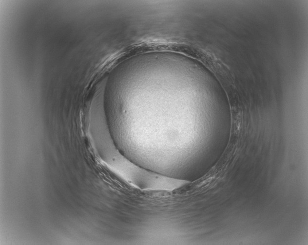 X0000053121157200508081244