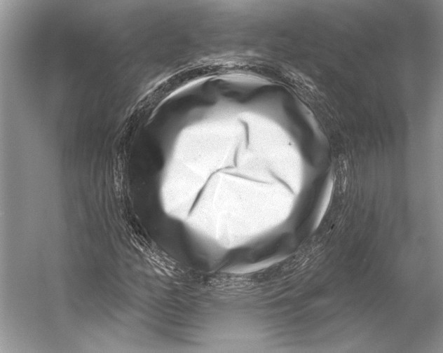 X0000053121158200508081244