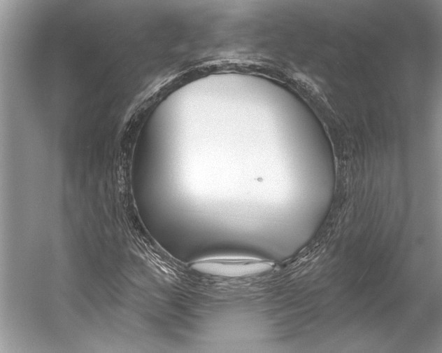 X0000053121159200508081244