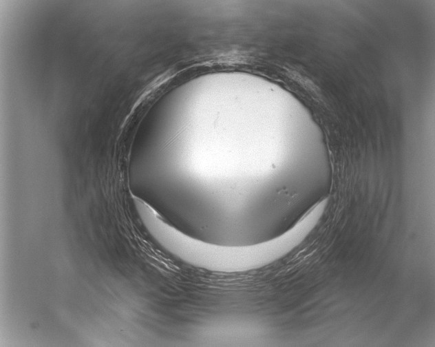 X0000053121160200508081244