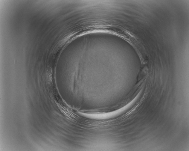 X0000053121161200508081244