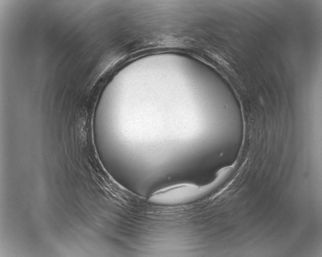 X0000053121163200508081244