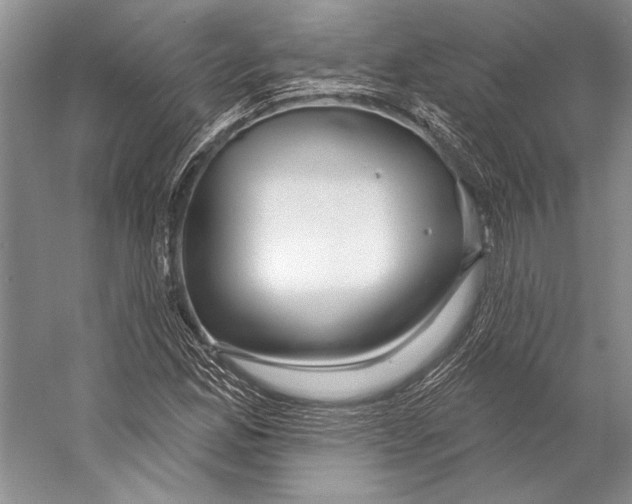 X0000053121165200508081244