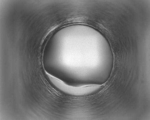 X0000053121166200508081244