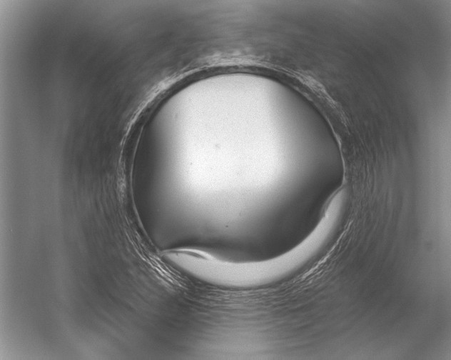 X0000053121167200508081244