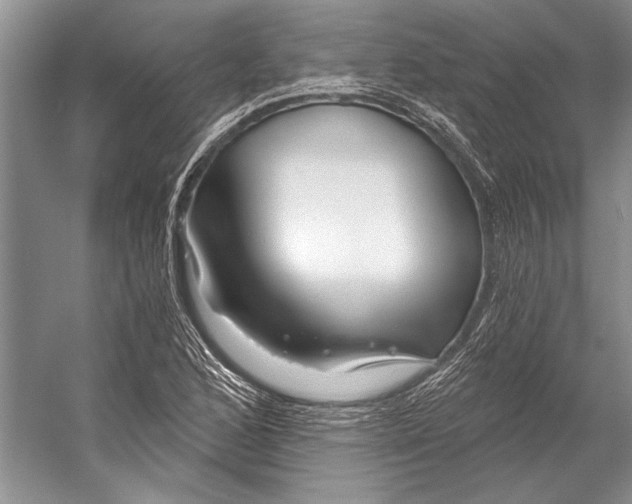 X0000053121168200508081244