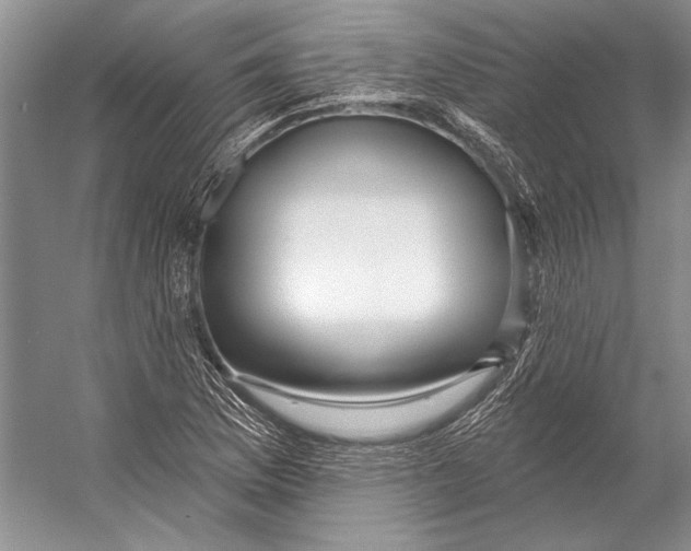 X0000053121169200508081244