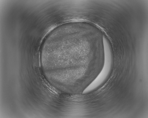 X0000053121171200508081244