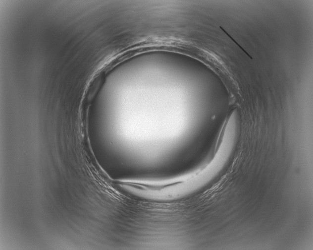 X0000053121172200508081244