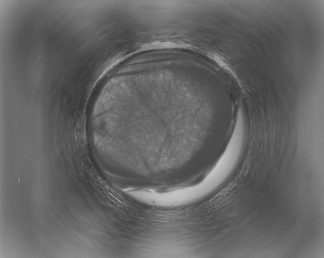 X0000053121173200508081244