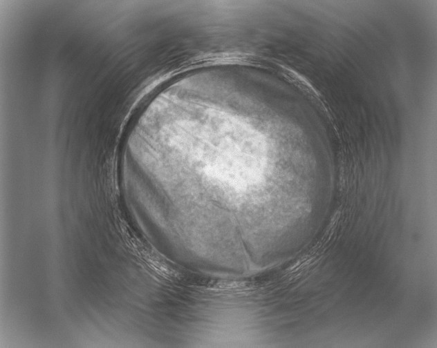 X0000053121174200508081244